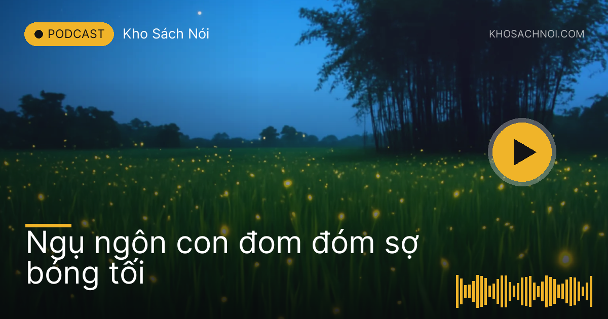 Cánh đồng lúa ban đêm lấm tấm ánh đom đóm bay