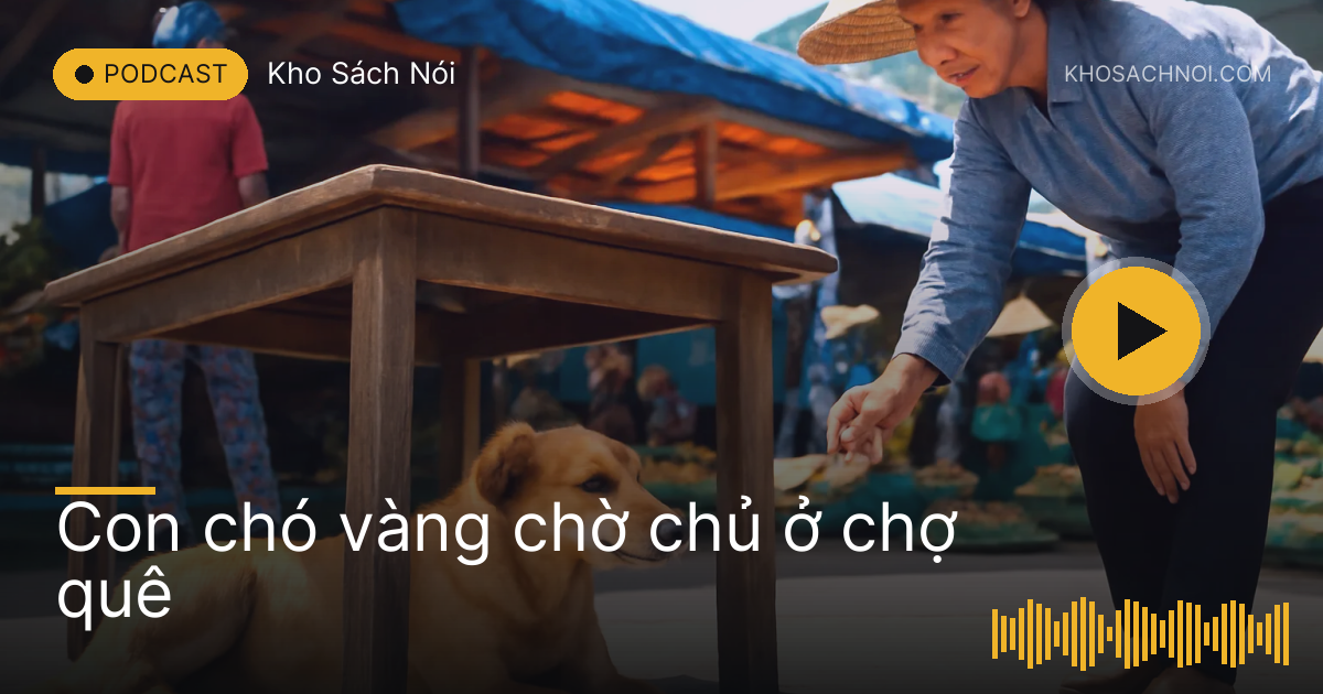 Con chó vàng nằm dưới sạp hàng trống ở chợ quê buổi sáng