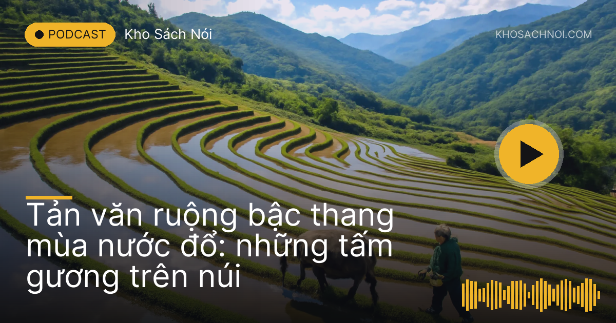 Ruộng bậc thang ngập nước phản chiếu bầu trời, người nông dân dắt trâu trên bờ