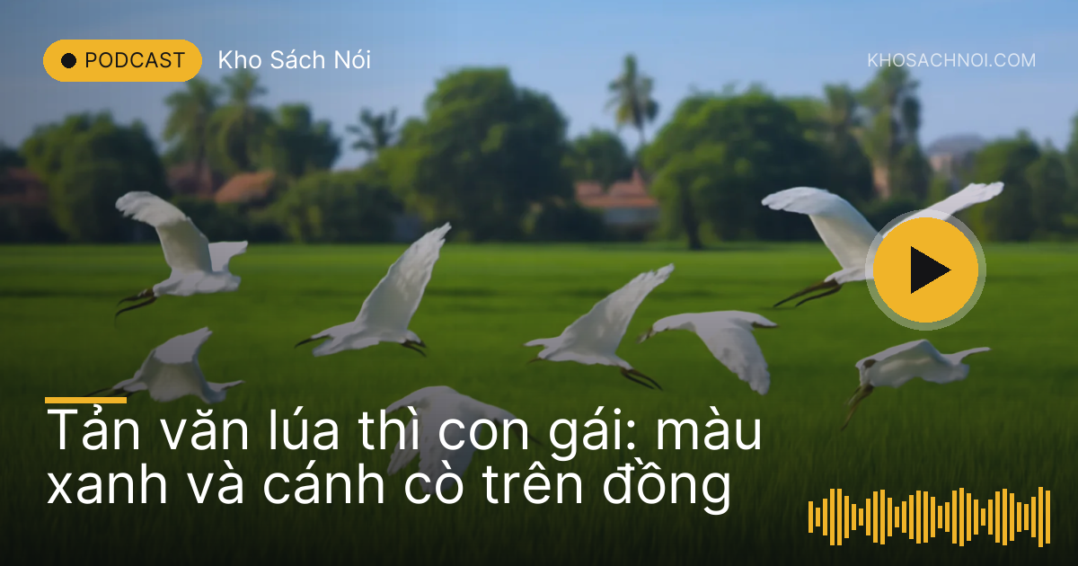 Đàn cò trắng bay trên cánh đồng lúa non xanh mướt